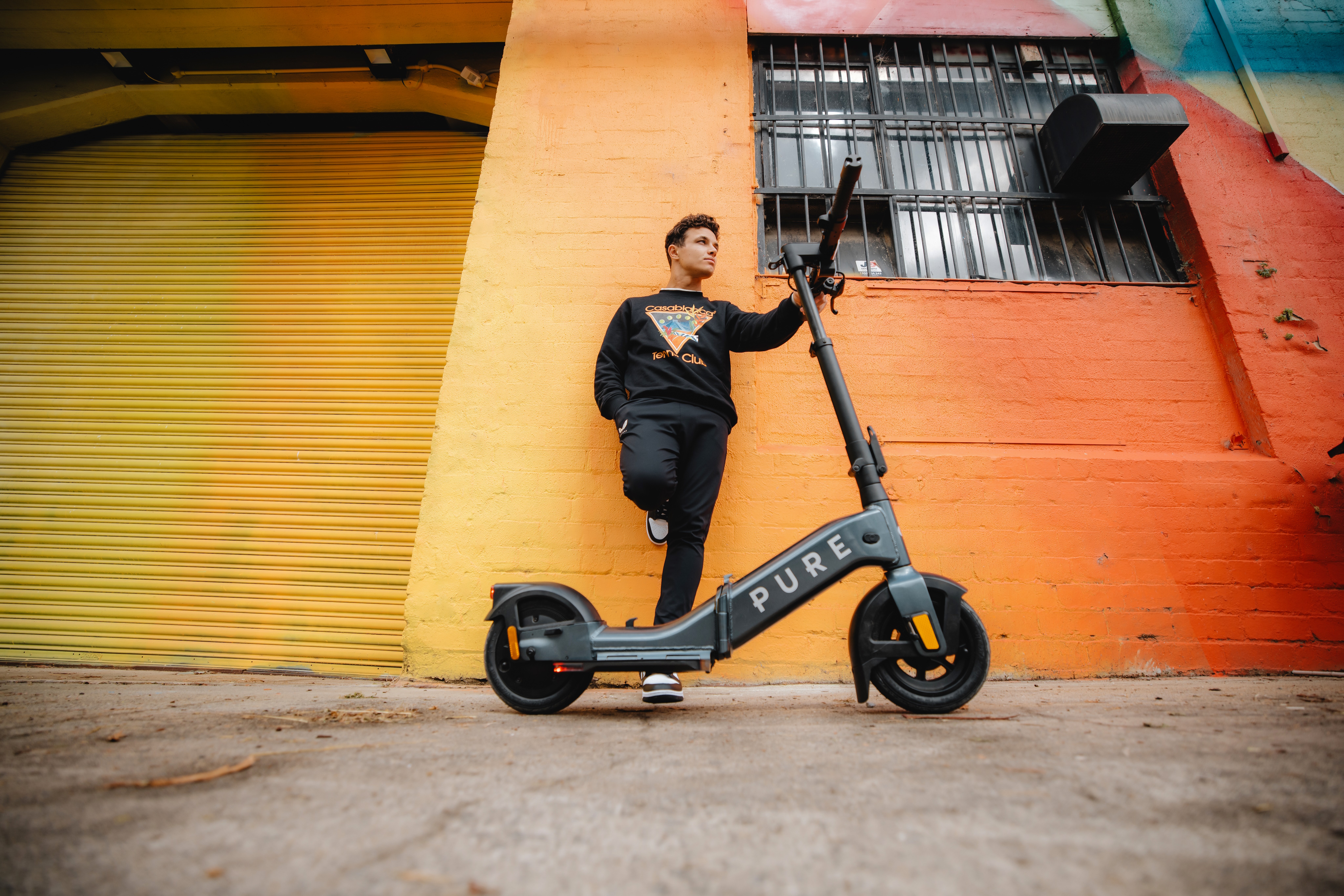 PURE Flex Platino, Roller, Transport, Fahrzeug, E-Scooter, Roller, Transport, Fahrzeug, E-Scooter
